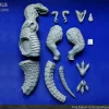 Allosaurus Soft Vinyl Kit