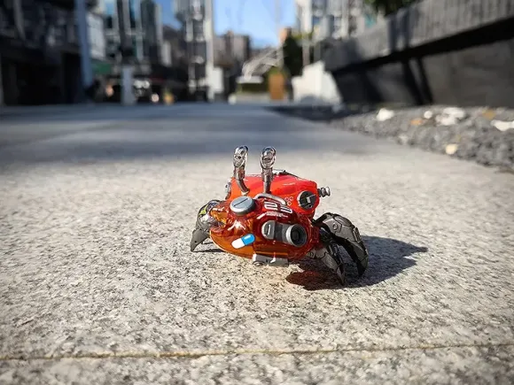 AQUACULTURE TANK 008: Fiddler Crab (Silver Red)