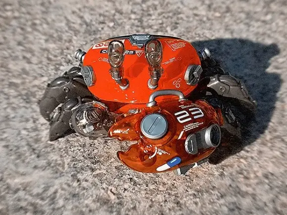 AQUACULTURE TANK 008: Fiddler Crab (Silver Red)
