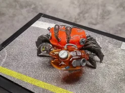 AQUACULTURE TANK 008: Fiddler Crab (Silver Red)