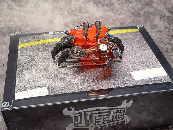 AQUACULTURE TANK 008: Fiddler Crab (Silver Red)