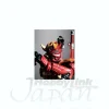 Armour Trans Kamen Rider Armed Hibiki