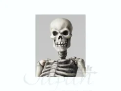 B-Grade Sci-Fi Revoltech Skeletal Warrior