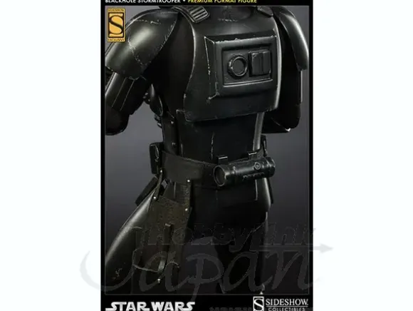 Blackhole Storm Trooper Premium Format Figure