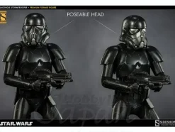 Blackhole Storm Trooper Premium Format Figure