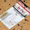 Bolt Head Hexagon Nut LL 30pcs