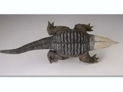 1/6 30cm Gabora Head Armor Closed