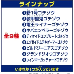 DX Legend Rider Gochizo Series Strongest Form Ver #03