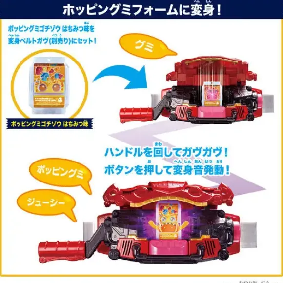 DX Rider Gochizo Set: New Species Ver.02