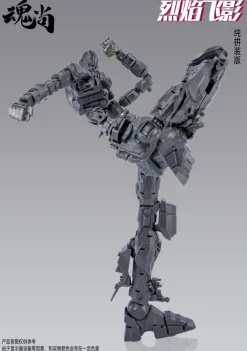 Fire Shadow Plastic Model Kit Normal Edition