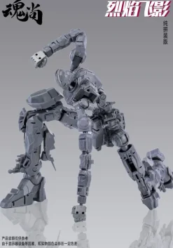 Fire Shadow Plastic Model Kit Normal Edition
