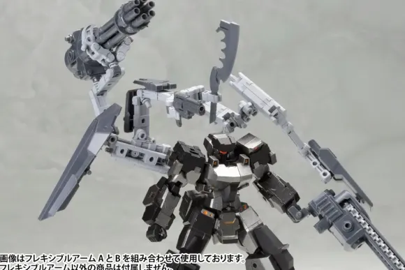 Flexible Arm B (Reissue)