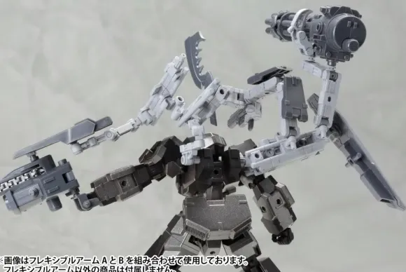 Flexible Arm B (Reissue)