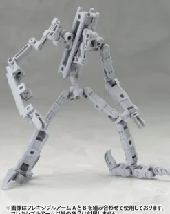 Flexible Arm B (Reissue)