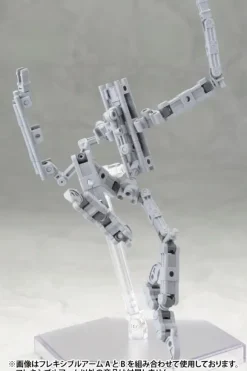 Flexible Arm B (Reissue)