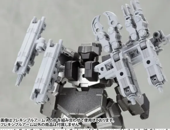 Flexible Arm B (Reissue)