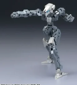 1/100 Frame Architect Type-001 Gray: RE2