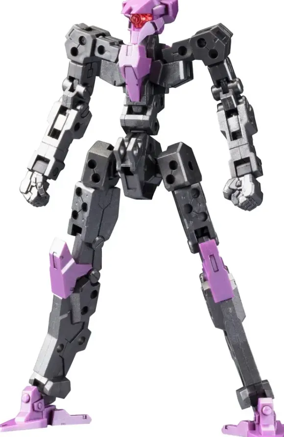 1/100 Frame Architect Type-001 Gunmetal: RE2