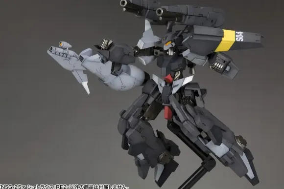 1/100 Frame Arms NSG-25 Gamma Strauss: RE2
