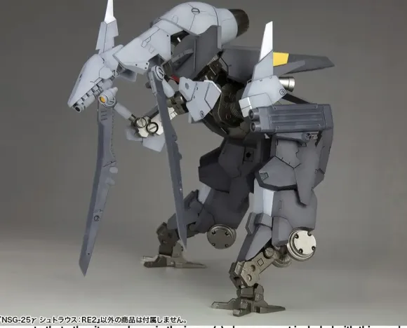 1/100 Frame Arms NSG-25 Gamma Strauss: RE2