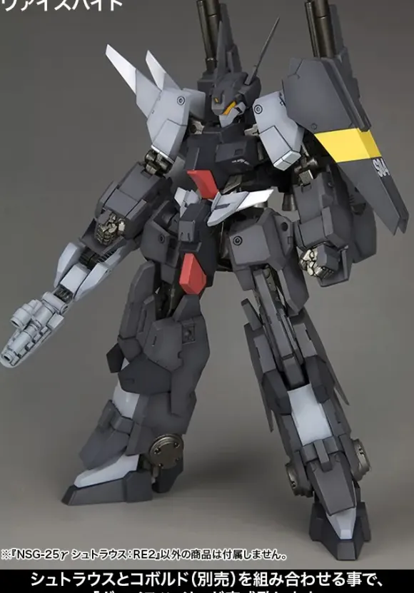 1/100 Frame Arms NSG-25 Gamma Strauss: RE2