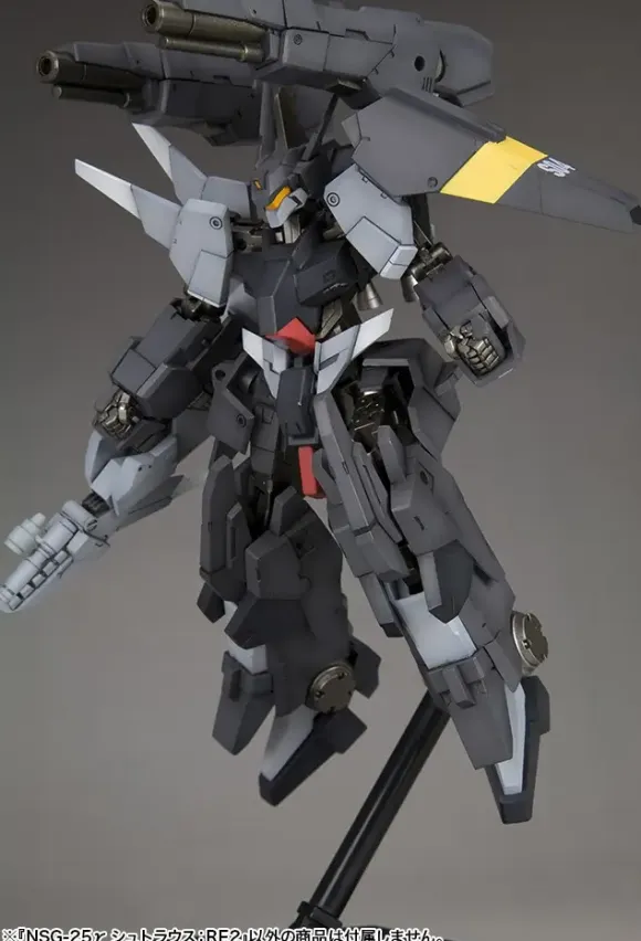 1/100 Frame Arms NSG-25 Gamma Strauss: RE2