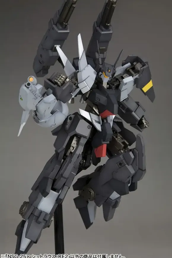 1/100 Frame Arms NSG-25 Gamma Strauss: RE2