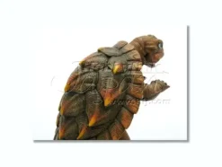 Gamera Standing