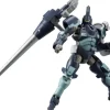 1/24 GOVERNOR Para-Pawn Ignite (HEXA GEAR)