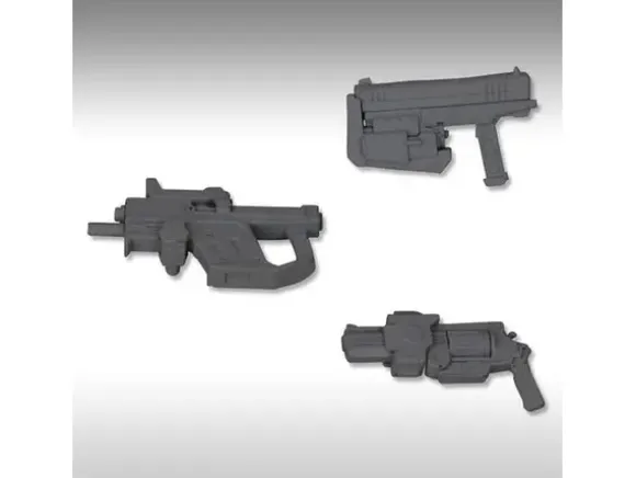 Handgun (Renewal)