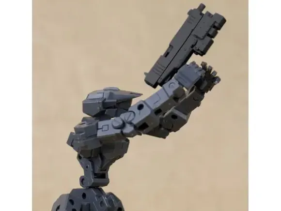 Handgun (Renewal)