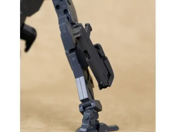 Handgun (Renewal)
