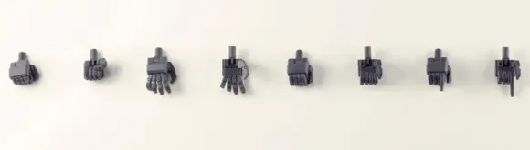 Hand Unit Normal Hand 2020