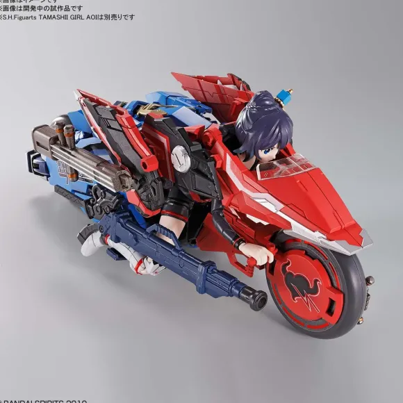 HG Soryumaru