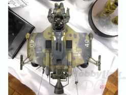 1/20 Hornisse