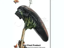 1/6 Hot Toys AVP Ancient Predator Asia Edition