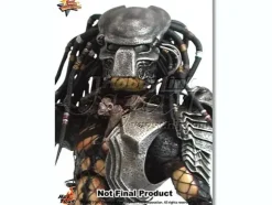 1/6 Hot Toys AVP Ancient Predator Asia Edition