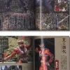 Kamen Rider Hibiki #1-29