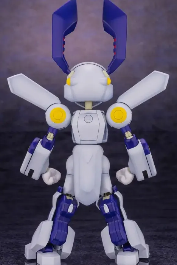 1/6 KWG05-C Dorcus