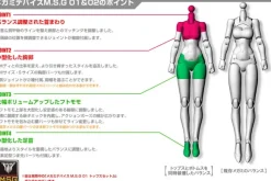 1/1 Megami Device M.S.G 02 Bottoms Set Skin Color A (Reissue)