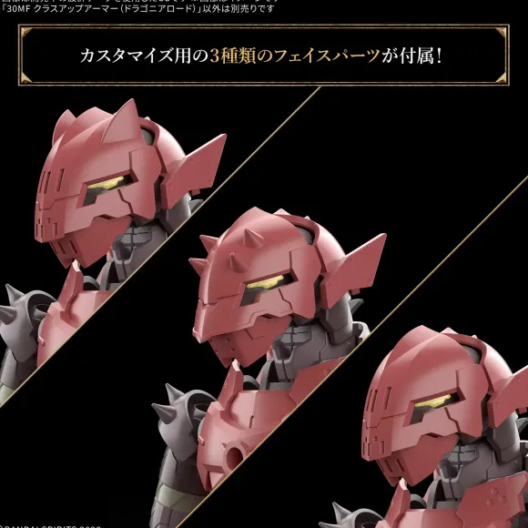30MF Class Up Armor (Dragonia Lord)