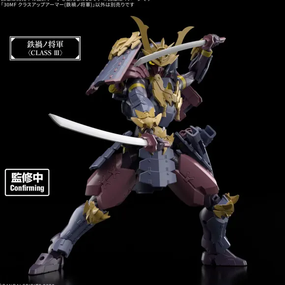 30MF Class Up Armor Meteoric Ironshogun