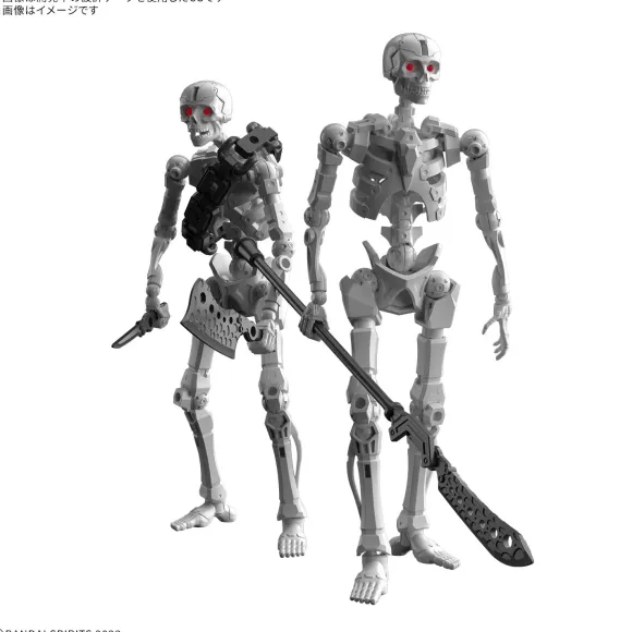 30MF Dlro Skeleton