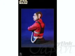 Mini Bust: Nien Nunb