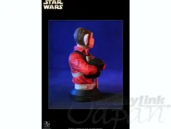 Mini Bust: Nien Nunb