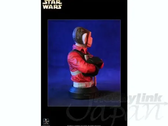 Mini Bust: Nien Nunb