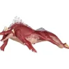 Movie Monster Series Godzilla Aquatilis -Godzilla SP-