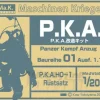 1/20 P.K.A. Update Kit (P.K.A. Rustsatz) for Hornisse