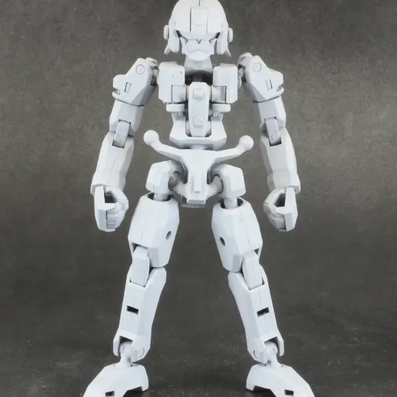 Pla Act Option Series: 06 Frame Unit (Reissue)