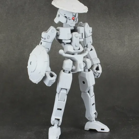 Pla Act Option Series: 06 Frame Unit (Reissue)